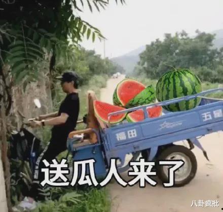 吃瓜路人199号,网络红人的崛起之路