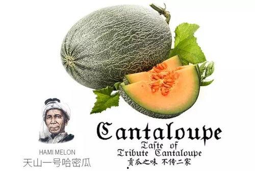 吃瓜路人199号,网络红人的崛起之路