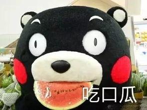 吃瓜听歌睡觉,瓜田乐歌梦乡行