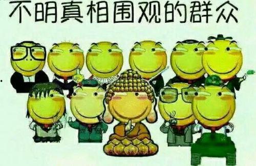 天津吃瓜群众趣事,天津吃瓜群众的欢乐日常