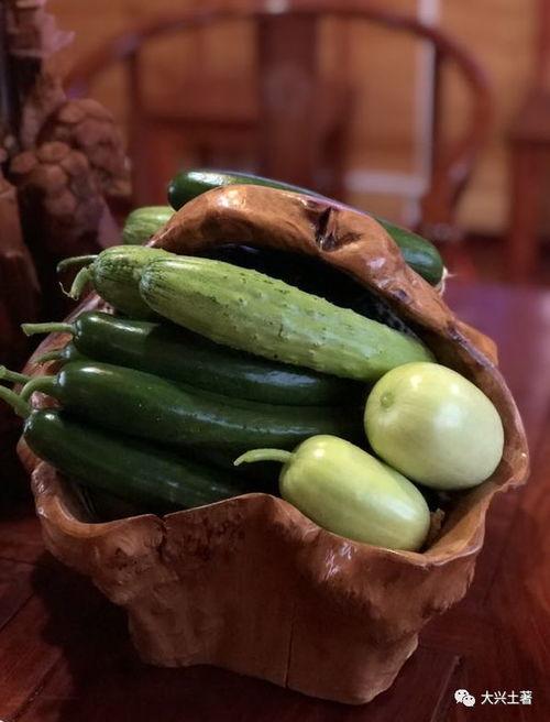 网红阳台吃瓜,揭秘网络红人的日常生活