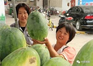 湖北小区吃瓜,邻里纷争背后的社区现象解析