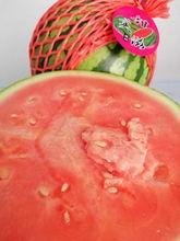 湖北小区吃瓜,邻里纷争背后的社区现象解析