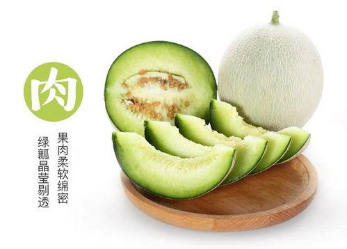 蜜瓜网纹瓜孕妇可以吃吗,孕妇食用指南与注意事项