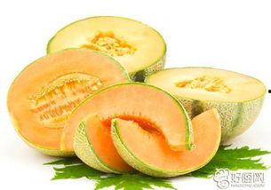 发烧咽痛吃哈密瓜,天然食疗的神奇功效