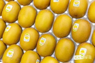 五一吃瓜-抖音吃瓜