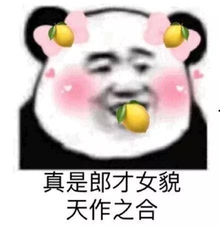 悠闲吃瓜表情包,笑看人生百态