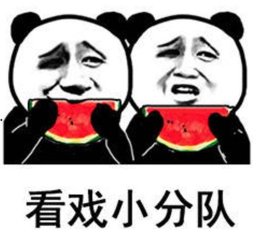 悠闲吃瓜表情包,笑看人生百态