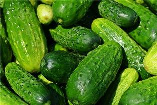 梦见搬家吃瓜,搬家途中邂逅瓜果飘香