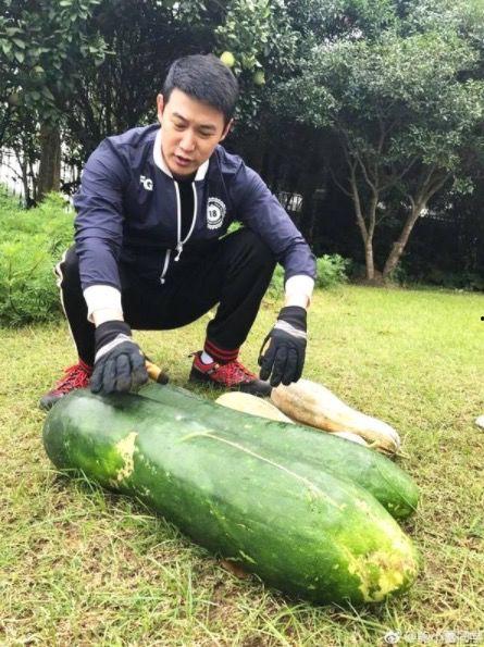 夫妻两吃瓜,揭秘娱乐圈背后的甜蜜与苦涩