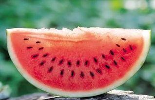 泰州话吃瓜,趣味方言中的生活百态