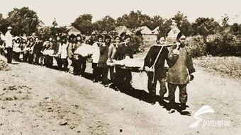 沂蒙吃瓜事件始末,一场网络舆论的风波与反思