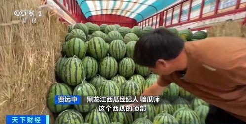 自由吃瓜姐姐来了,揭秘娱乐圈幕后故事