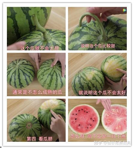 风景优美吃瓜,尽享瓜果飘香——探寻我国风景优美瓜乡之旅”