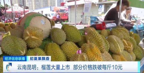 带你吃瓜榴莲图片,带你一睹“果中之王”的诱人风采