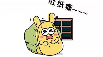 吃瓜群众家属,揭秘吃瓜群众家属背后的故事