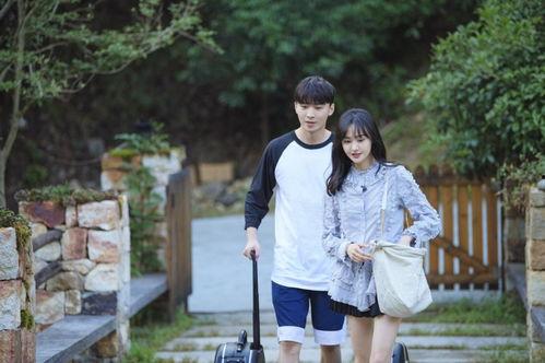 美吃瓜律师作品,揭秘娱乐圈背后的法律风云