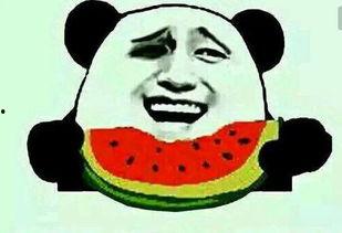 内蒙吃瓜群众,内蒙古“吃瓜群众”的夏日生活画卷