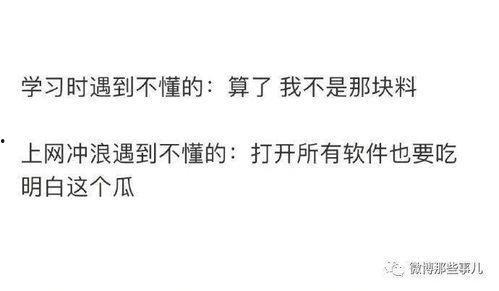 吃瓜遇到不懂的,破解那些让你一头雾水的热门话题