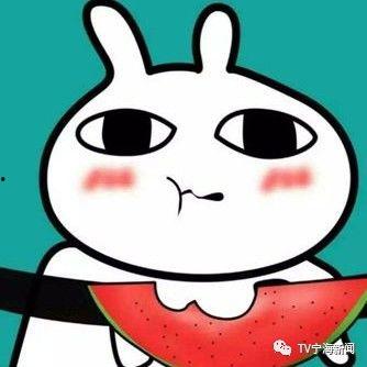 吃瓜群众DG,揭秘明星效应下的品牌争议