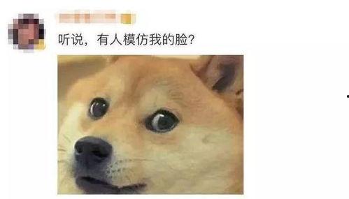 吃瓜源头.中国狗头,中国狗头背后的故事与影响