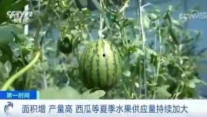 吃瓜群众zzr,揭秘娱乐圈背后的那些事儿