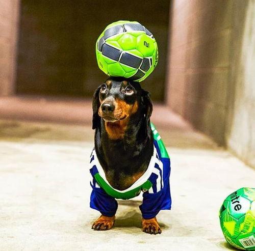 小索吃瓜,揭秘娱乐圈那些不为人知的幕后故事