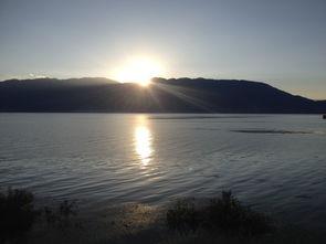 落日计划吃瓜,揭秘神秘吃瓜背后的故事