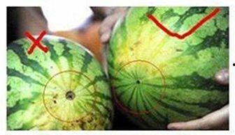 做梦吃瓜不甜,揭秘“做梦吃瓜不甜”的奇妙体验