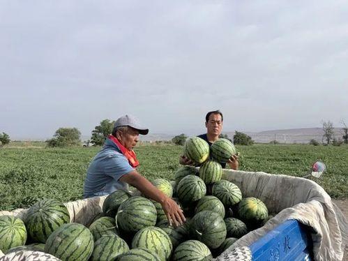 天目中心吃瓜,吃瓜群众的热议焦点