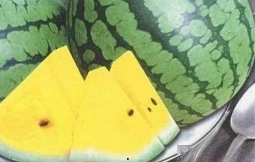 横着亲吃瓜,揭秘娱乐圈的幕后故事