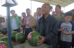 潮汕地区吃瓜群众,品味生活，共享瓜香