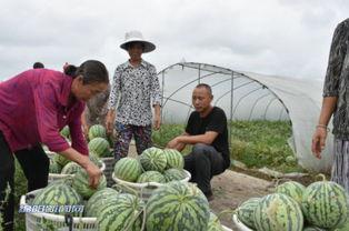 潮汕地区吃瓜群众,品味生活，共享瓜香
