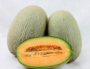 咖喱能和哈密瓜一起吃吗,探索美味新境界